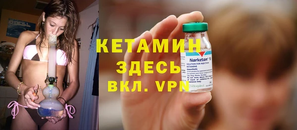 сатива Абинск