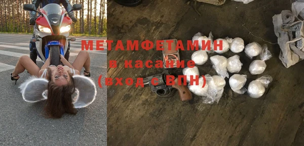 сатива Абинск