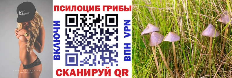 Псилоцибиновые грибы GOLDEN TEACHER Энем