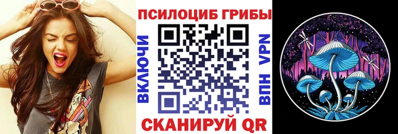 Галлюциногенные грибы прущие грибы Энем